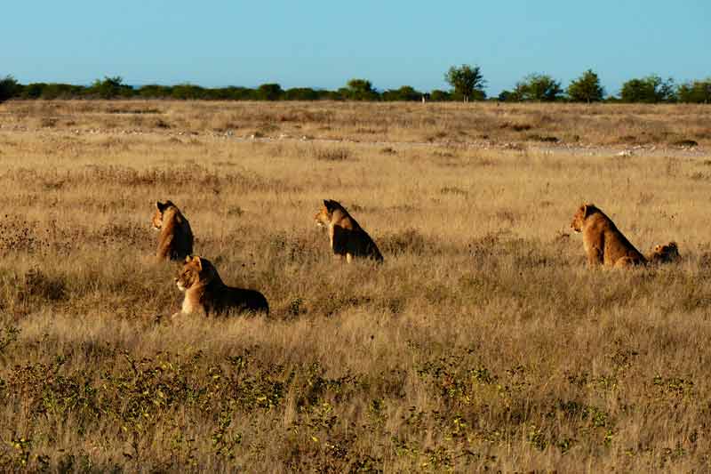 Namibia